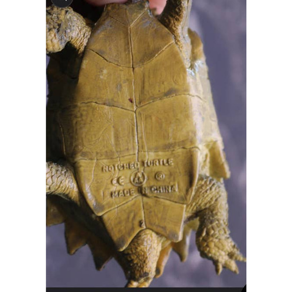 Notched Sea Turtle Figure Toy Sea Animal Marine Life Realistic Toy AAA - Picture 4 of 4